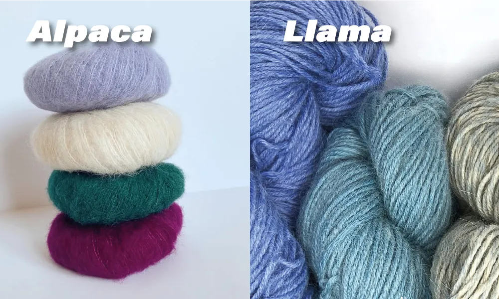 alpaca and llama wool