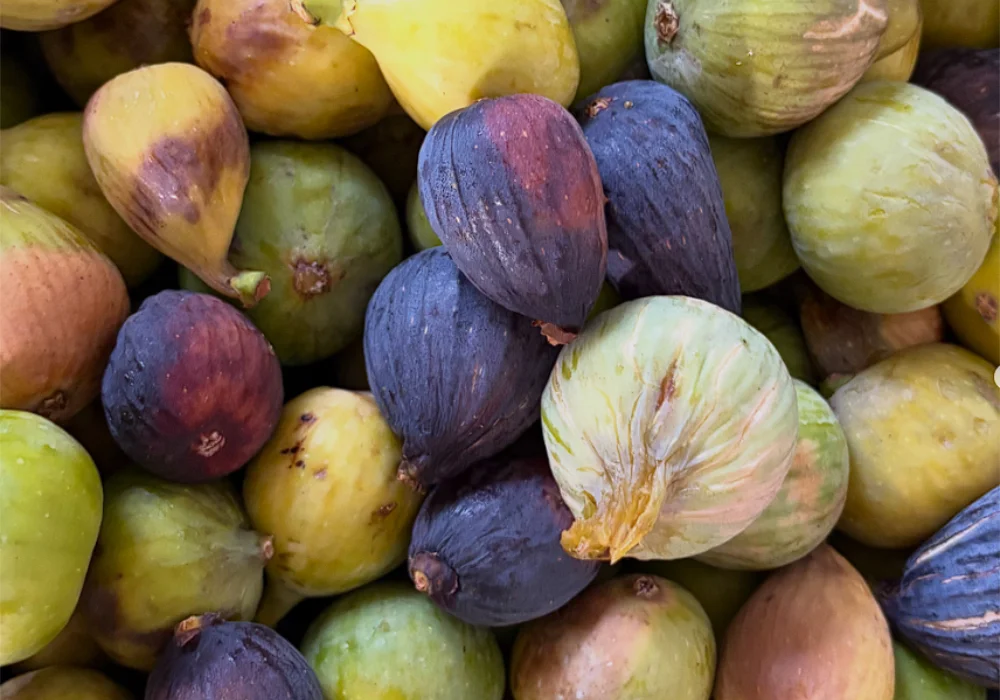 Fruta higo peruano
