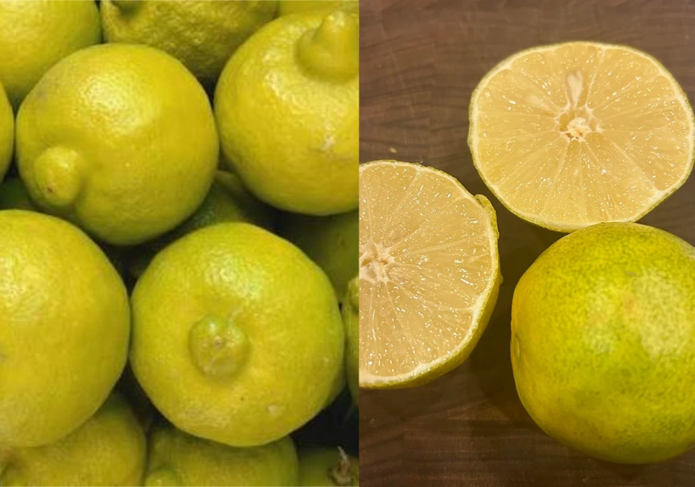 fruta lima dulce