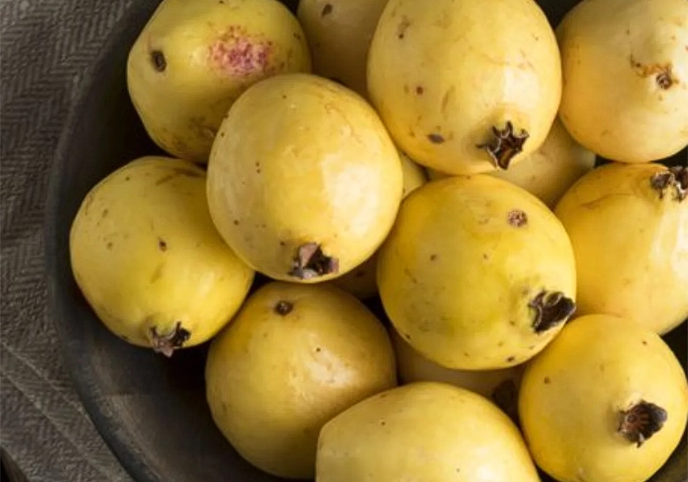 La Guayaba Criolla