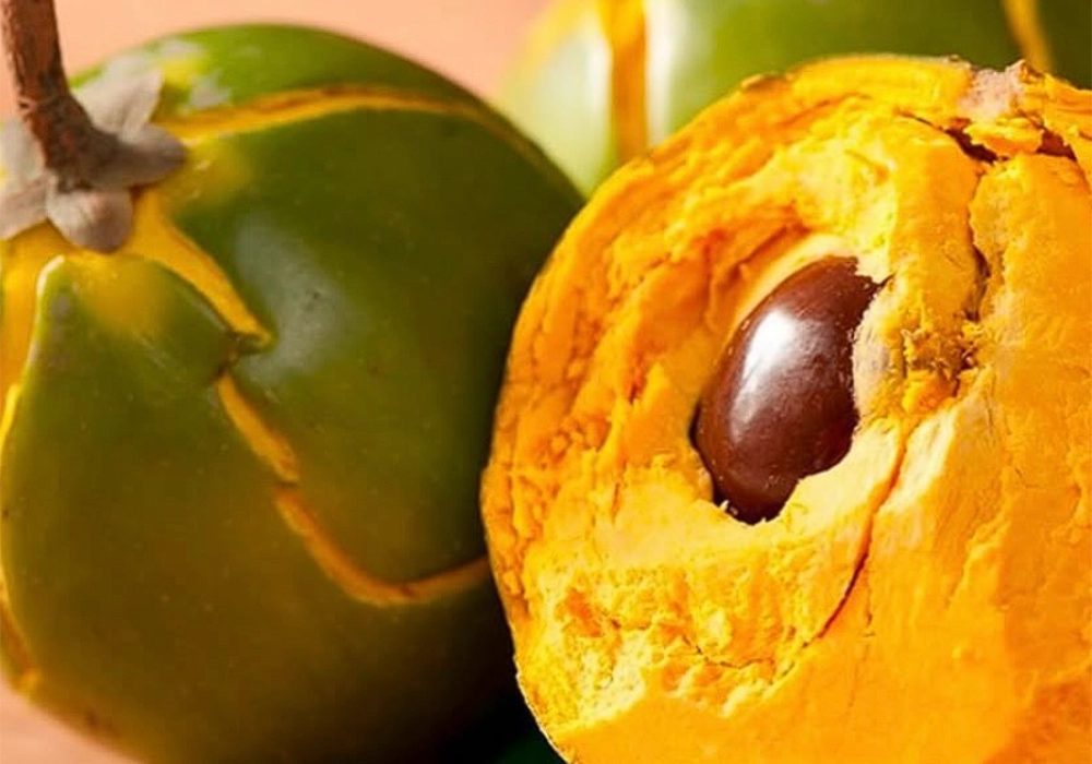 Lucuma