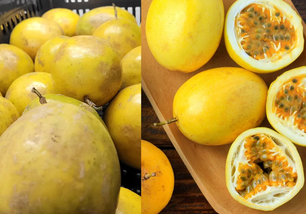 maracuya de Peru