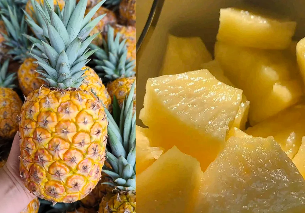 piña de la costa peruana